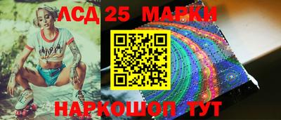 шишки Будённовск