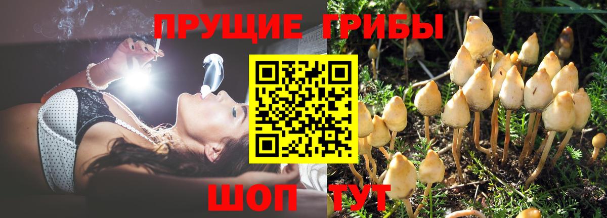 Псилоцибиновые грибы прущие грибы  Галлюциногенные грибы прущие грибы  Вход с VPN  Краснодар 