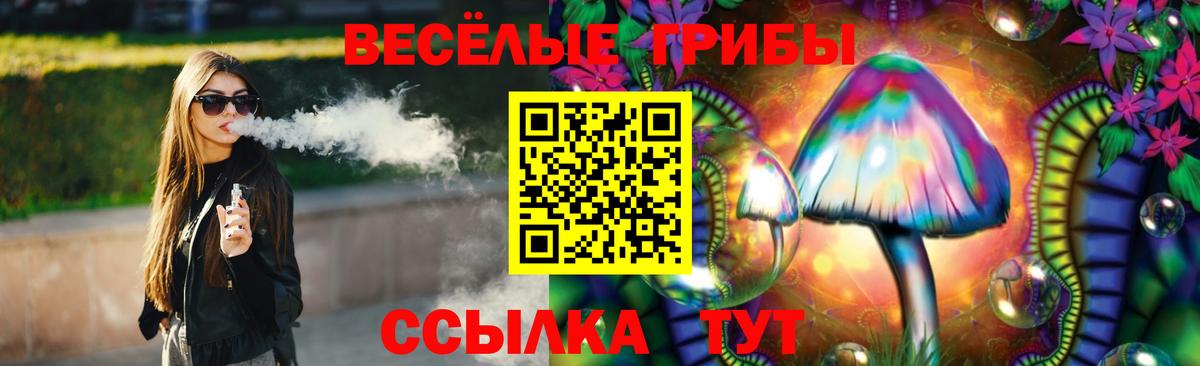 Псилоцибиновые грибы GOLDEN TEACHER Краснодар